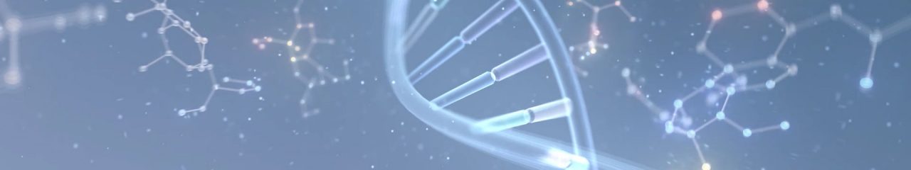 Forschung & Entwicklung