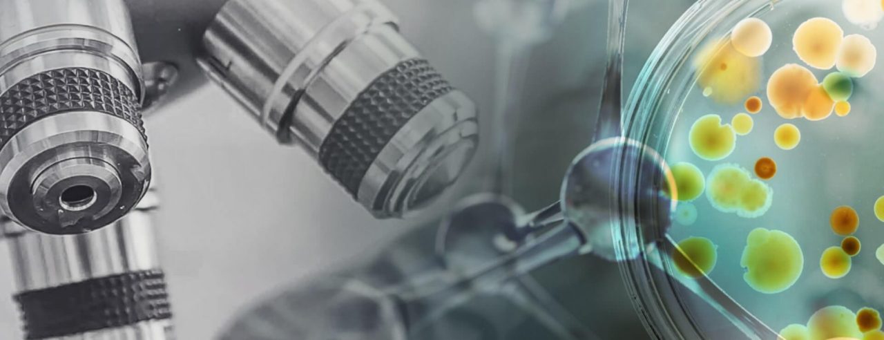 Forschung & Entwicklung